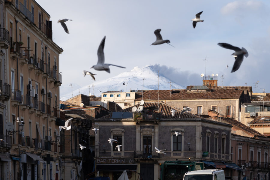 Catane et l'Etna l'hiver, place Carlo Alberto di Savoia