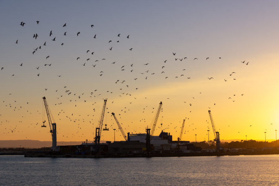 Coucher de soleil sur le port de Catane