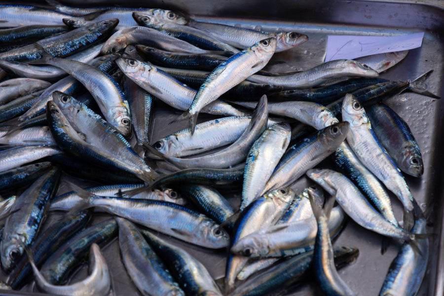 Pescheria de Catane, marché aux poissons