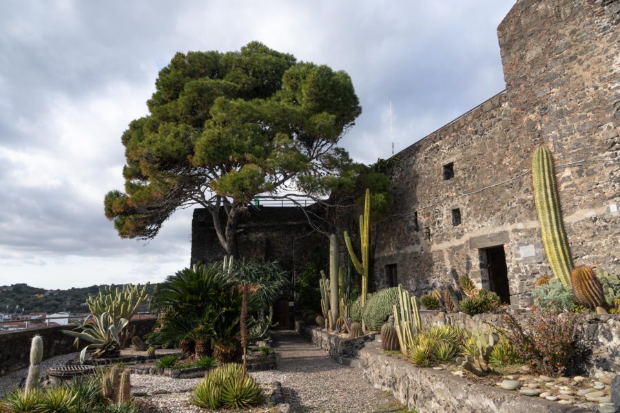 Jardin de cactus du château d'Aci Castello
