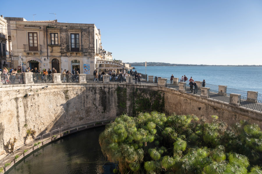 Fontaine d'Aretusa à Ortigia, Syracuse