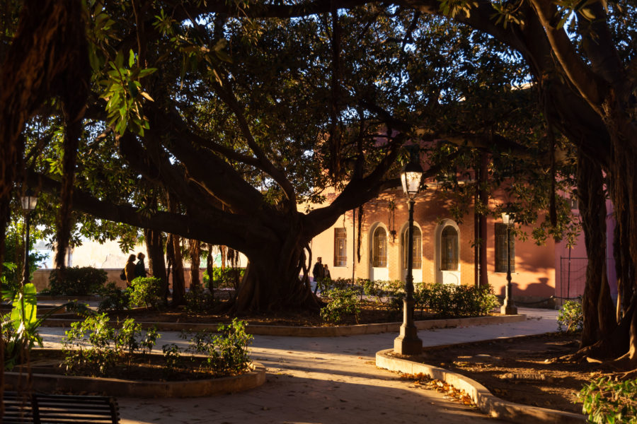 Jardin d'Aretusa à Syracuse