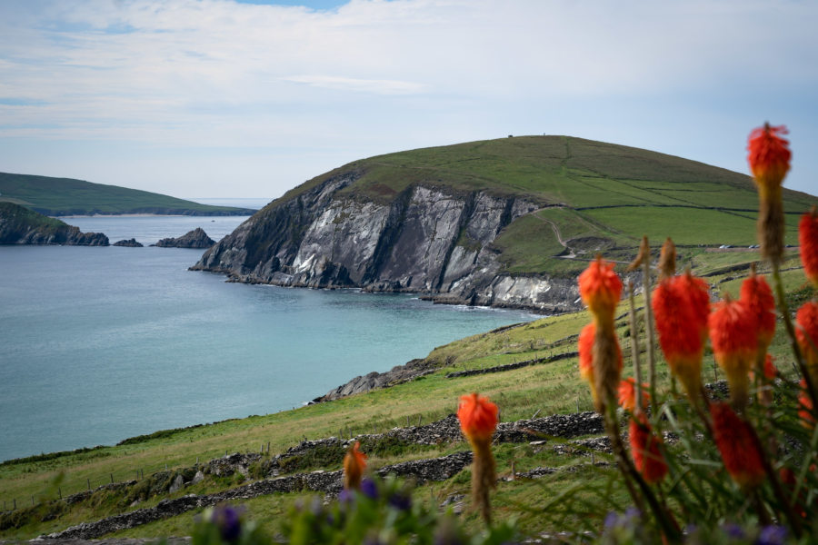 Dunmore head sur la Dingle way en Irlande