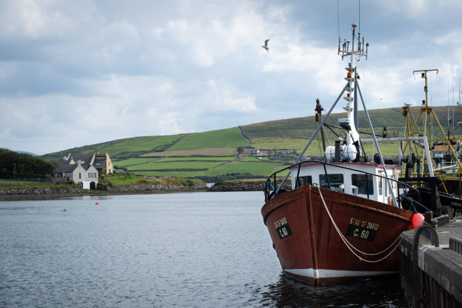 Visite de Dingle et son port, péninsule de Dingle