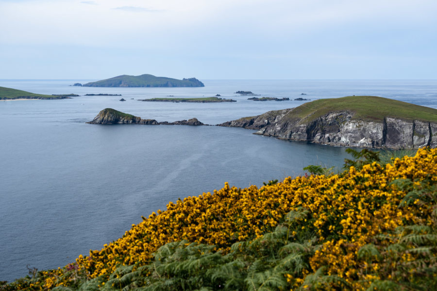 Dunmore head et les Blaskets islands