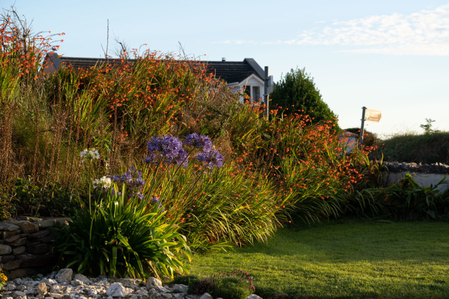 Jardin de l'hôtel à Dunquin, Irlande