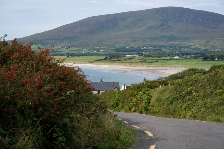 Randonnée sur la Dingle way : arrivée à la plage de Ventry