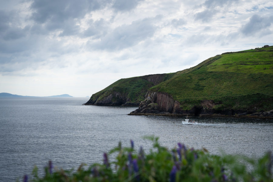 Randonnée sur la péninsule de Dingle : phare de Dingle