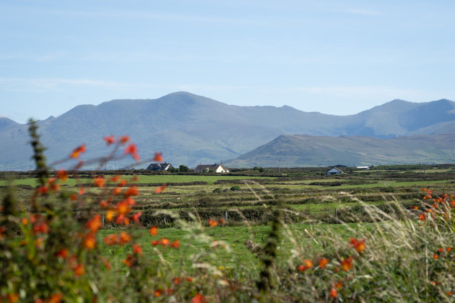 Randonnée sur la péninsule de Dingle