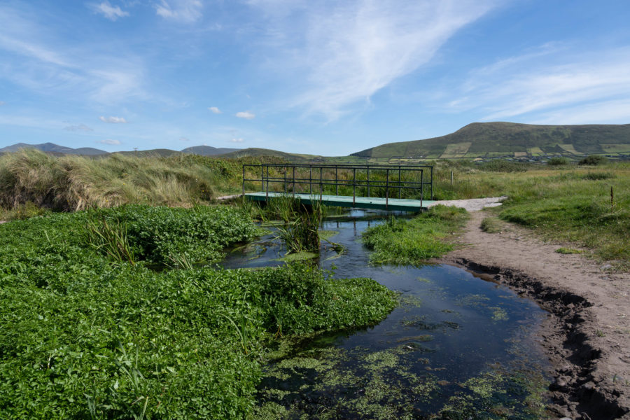 Randonnée sur la Dingle Way : wine strand