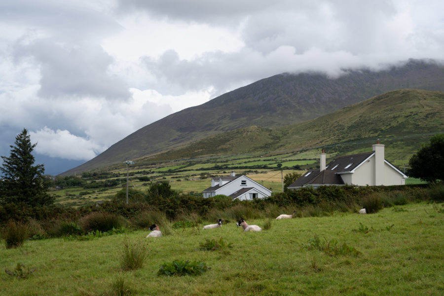 Ville de Camp, péninsule de Dingle