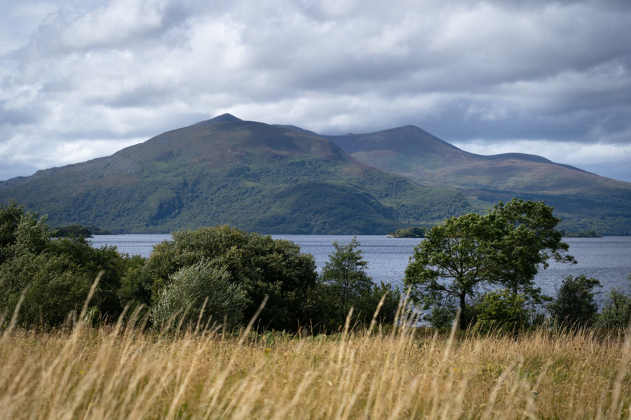 Balade à vélo près du lac de Muckross