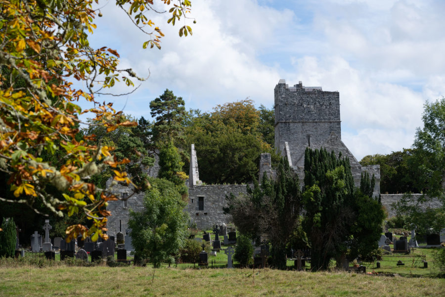 Muckross Abbey à Killarney