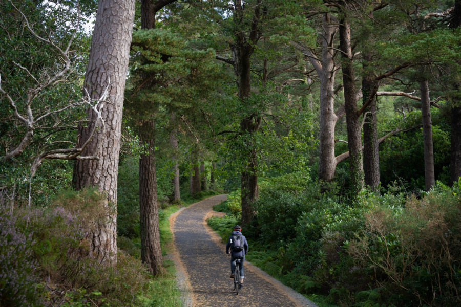 Tour à vélo du lac de Muckross à Killarney, Irlande