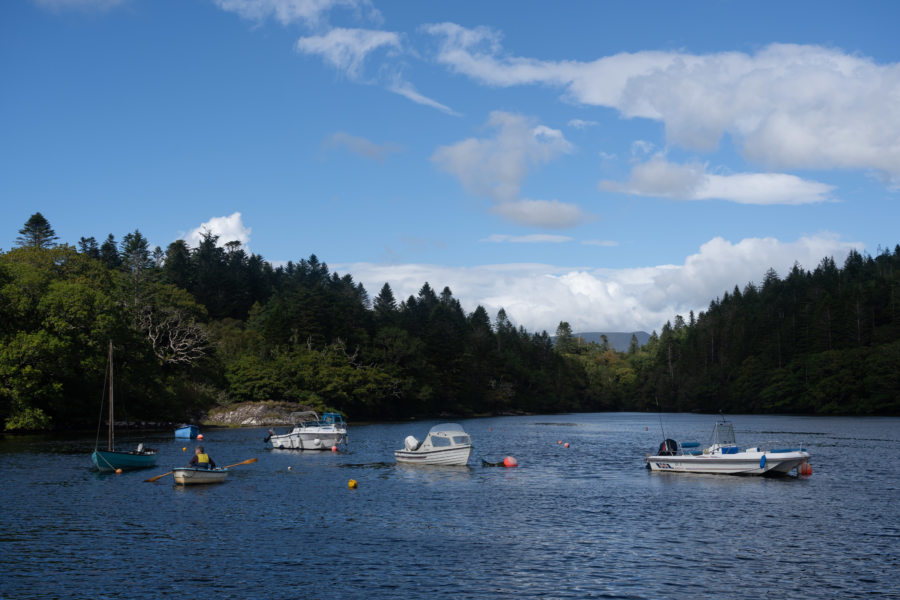 Paysage du Kerry entre Kenmare et Sneem