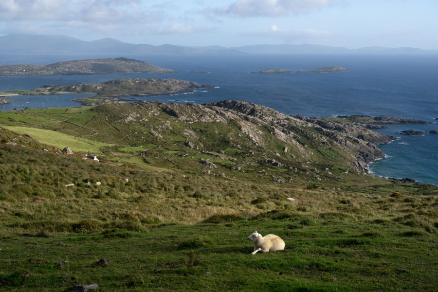 Paysages du Ring of Kerry entre Derrynane et Waterville