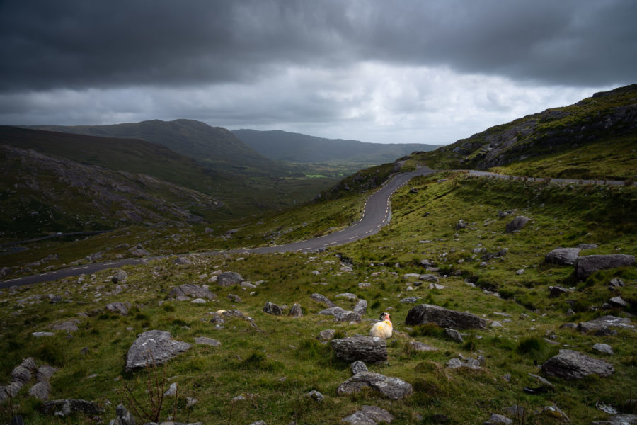 Healy Pass, Ring of Beara en Irlande