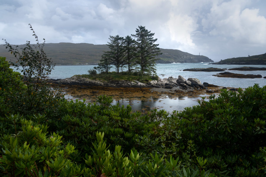 Paysage de la péninsule de Beara près du Dunboy Castle