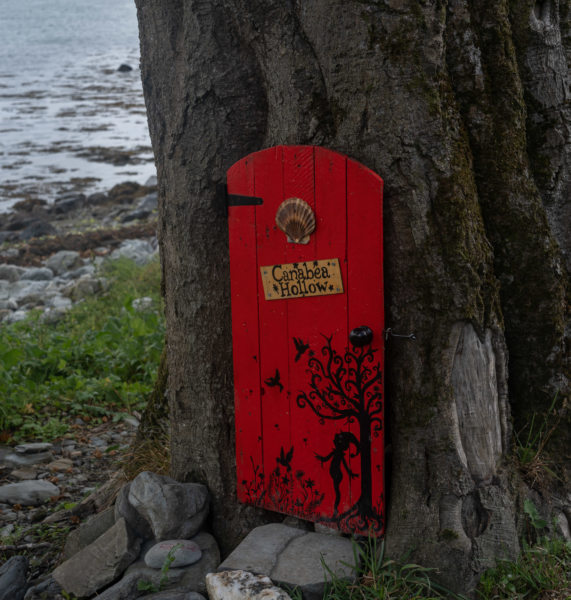 Dunboy Castle, porte dans un arbre