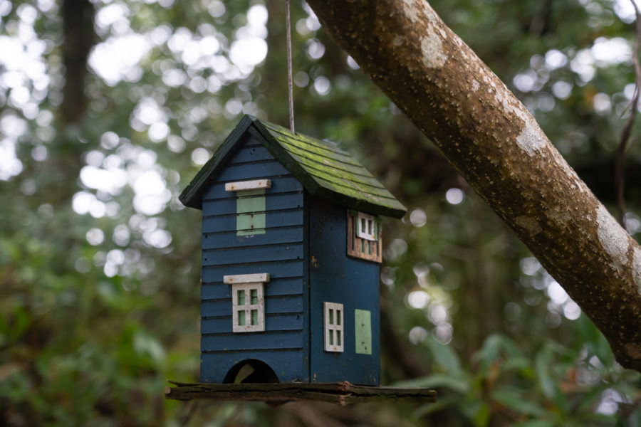 Maisonnette dans un arbre à Glengarriff