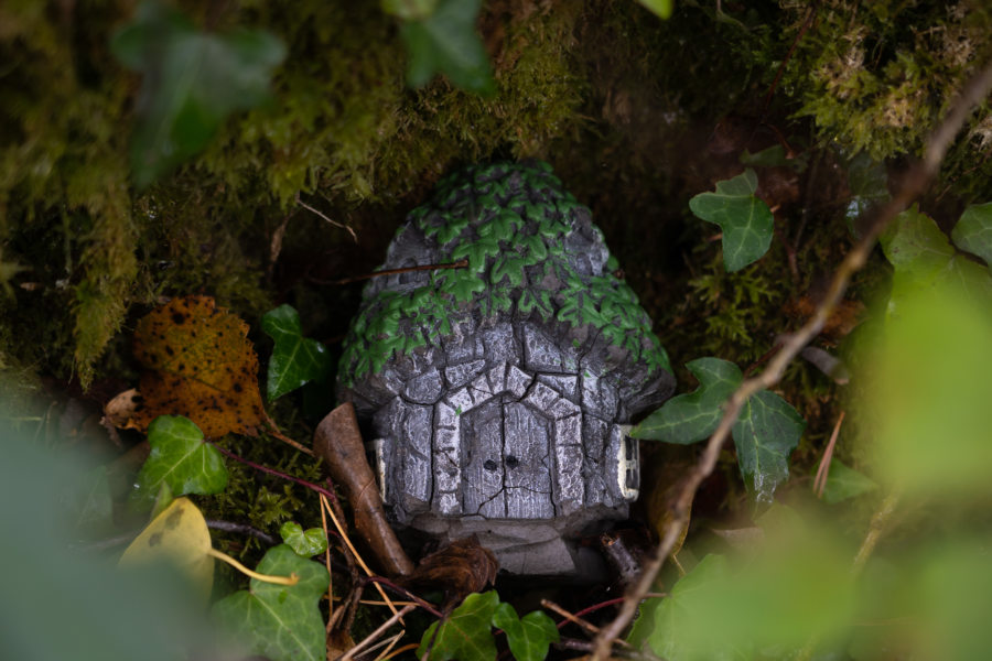 Maisonnette dans un arbre à Glengarriff