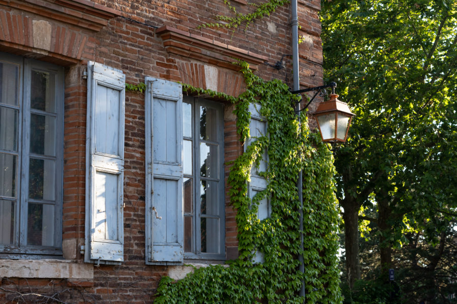 Albi, brique rouge et plantes