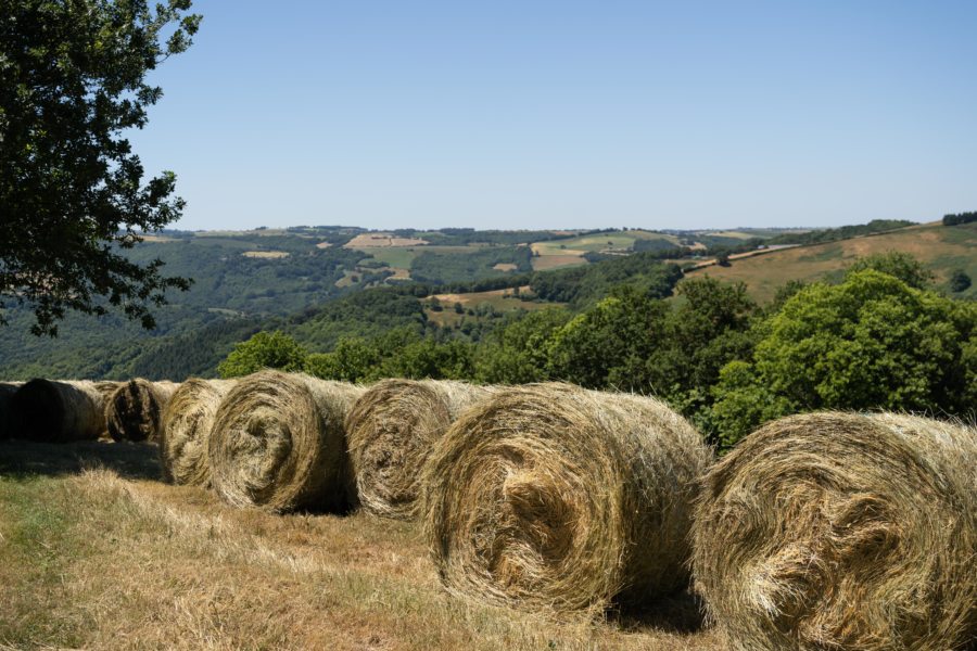 Bottes de paille, campagne du Tarn