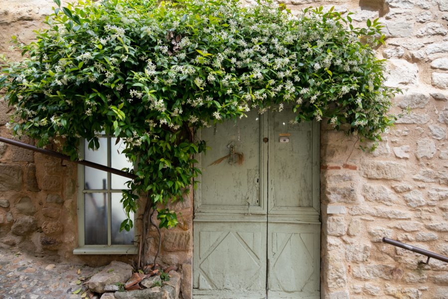 Lautrec, façade de maison