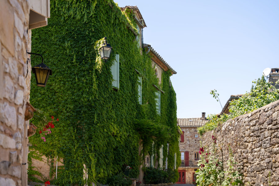 Maison recouverte de plantes à Puycelsi