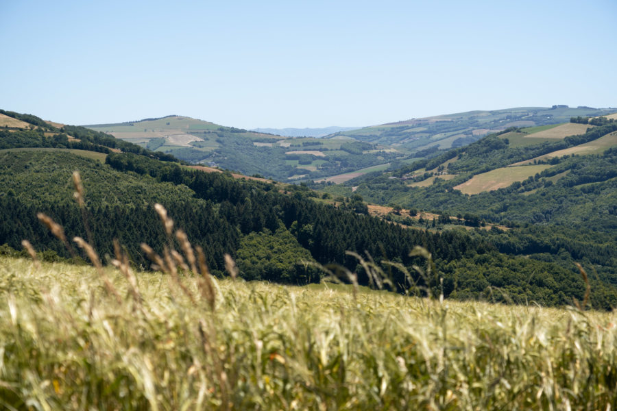 Randonnée à Fraissines, gorges du Tarn