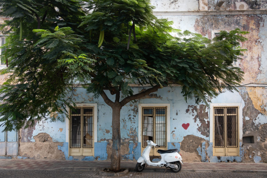 Jolie rue de Mindelo, arbre et scooter