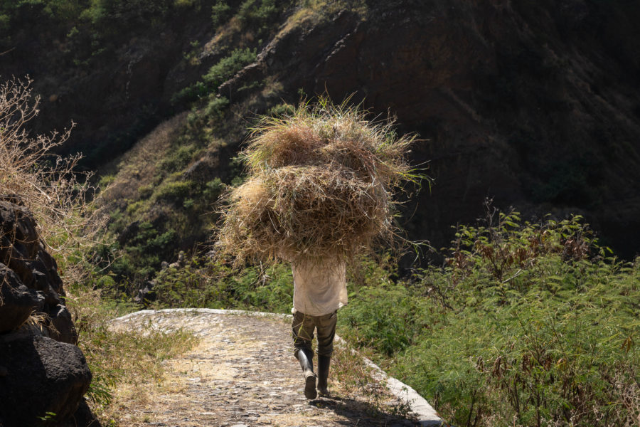 Marcheur avec de la paille sur la tête à Santo Antao