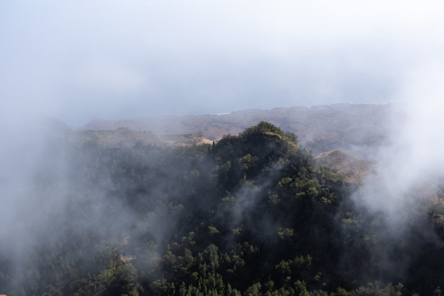 Randonnée au Pico de Cruz et vue sur Porto Novo