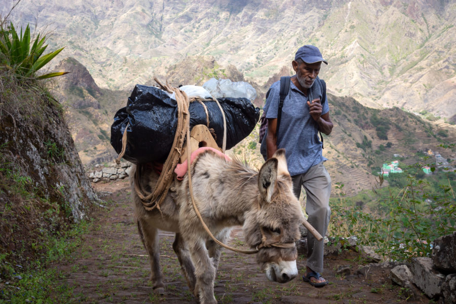 Randonnée à Santo Antao au Cap-Vert : homme à l'âne