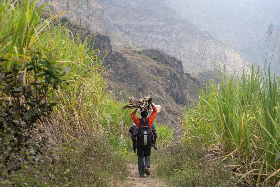 Capverdienne dans les champs sur l'île de Santo Antao au Cap Vert