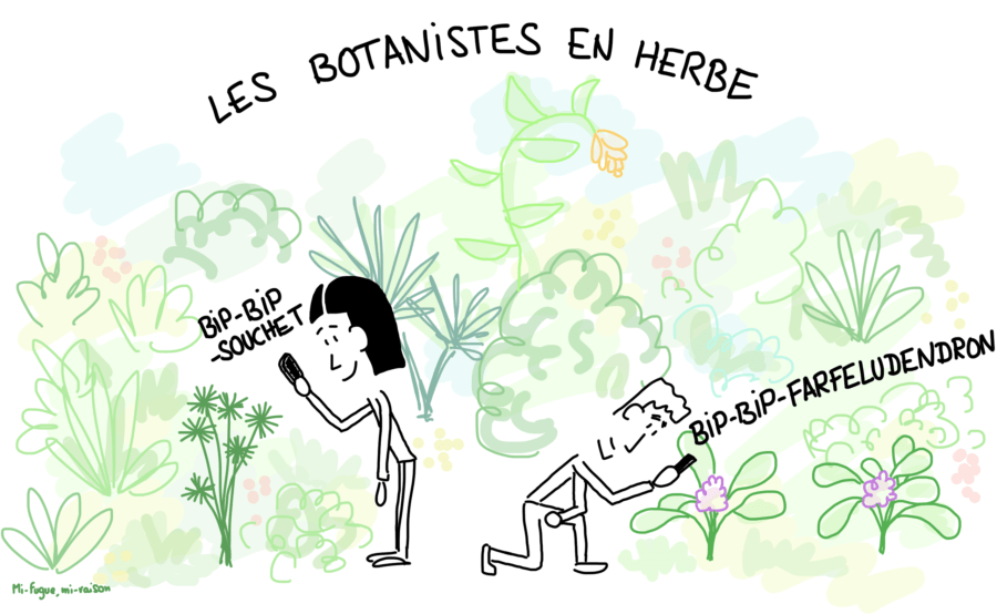 Dessin : les botanistes en herbe