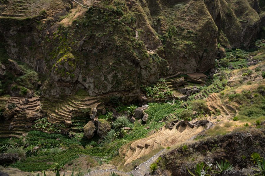 Vallée cultivée sur l'île de Santo Antao au Cap-Vert