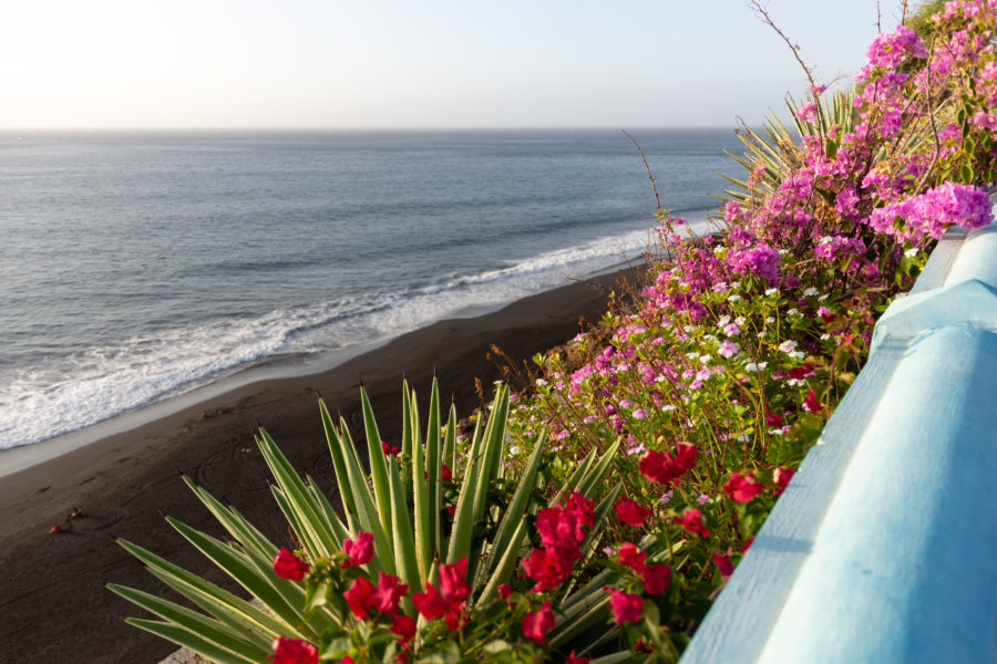 Plage de Sao Filipe et fleurs de Fogo au Cap-Vert