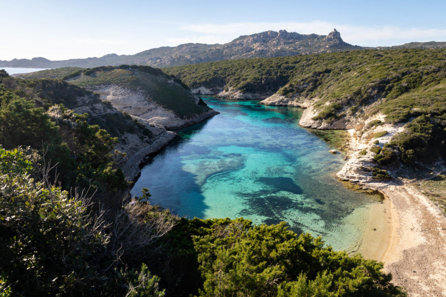 Randonnée de Bonifacio à la plage de Fazzio en Corse