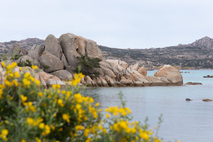 Île de Giardinelli, Maddalena, Sardaigne