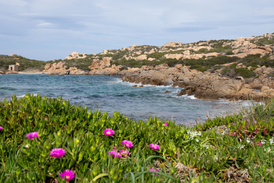 Île de la Maddalena, nord de la cala francese