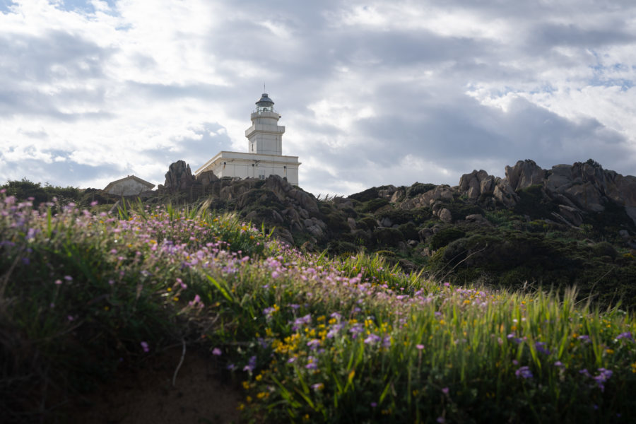 Phare du Capo Testa, randonnée en Sardaigne