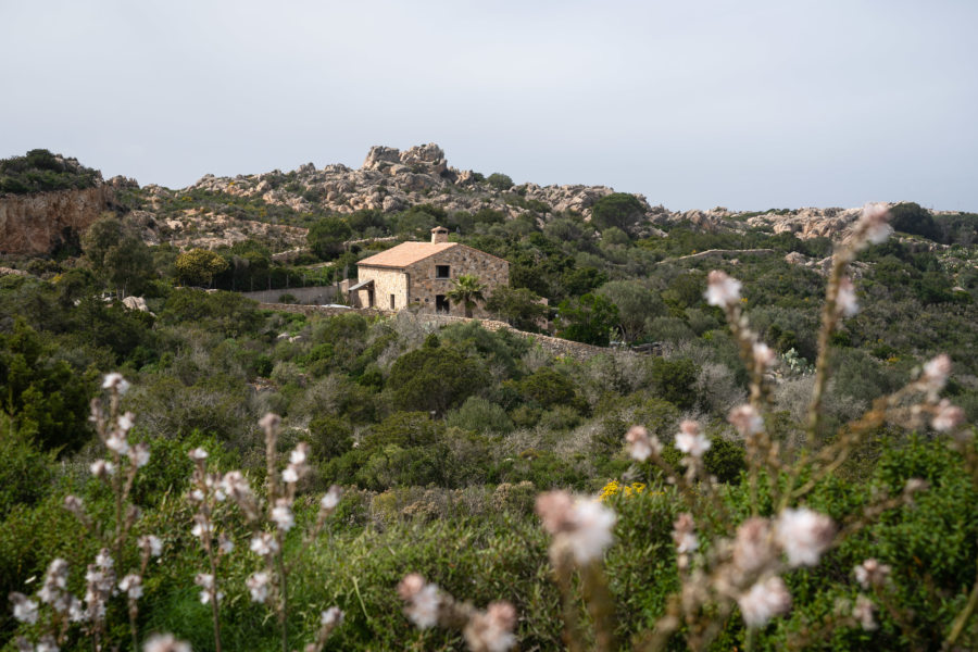 Promenade au sommet de l'île de la Maddalena en Sardaigne