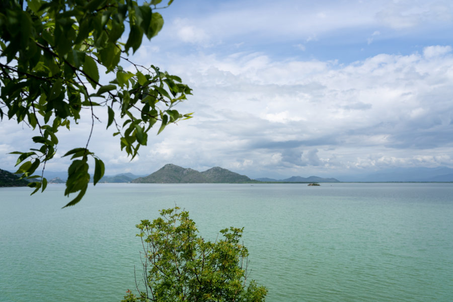 Visite du lac de Skadar au Monténégro