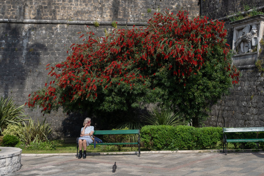 Visite de Kotor : remparts de la vieille ville