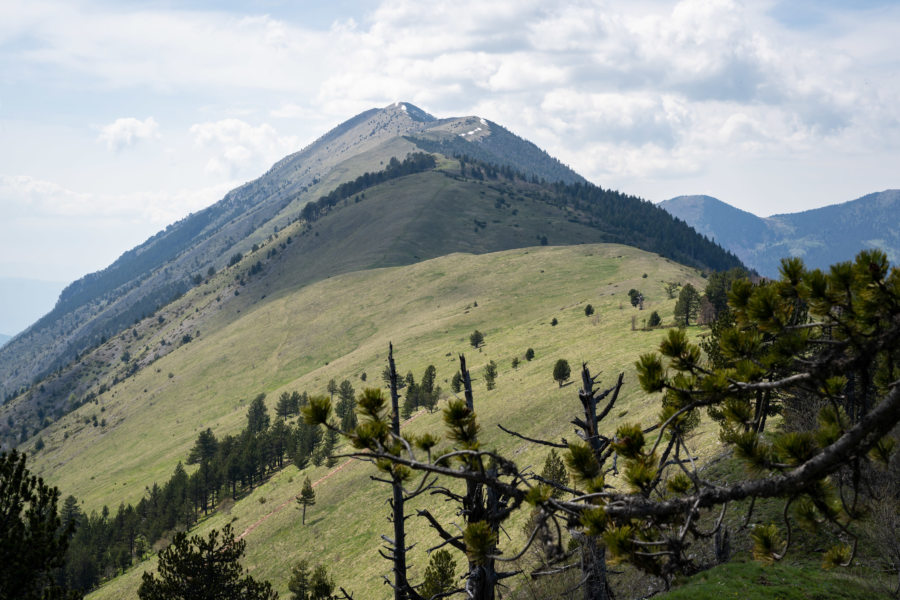 Monts Šar au Kosovo, randonnée au printemps