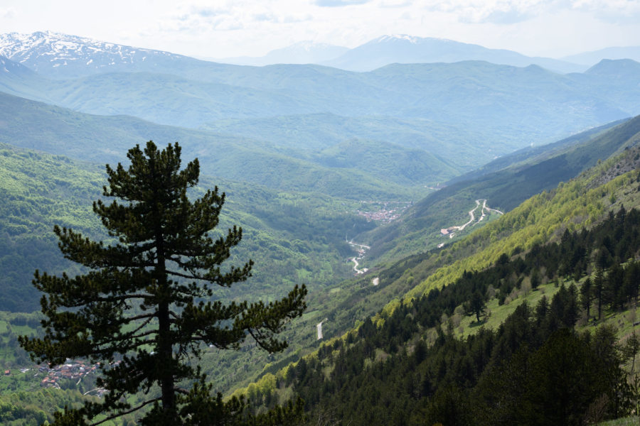 Randonnée sur les Monts Šar au Kosovo