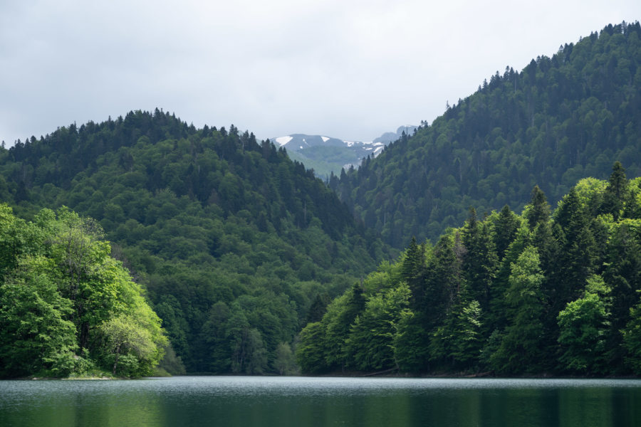 Lac de Biogradska Gora au Monténégro