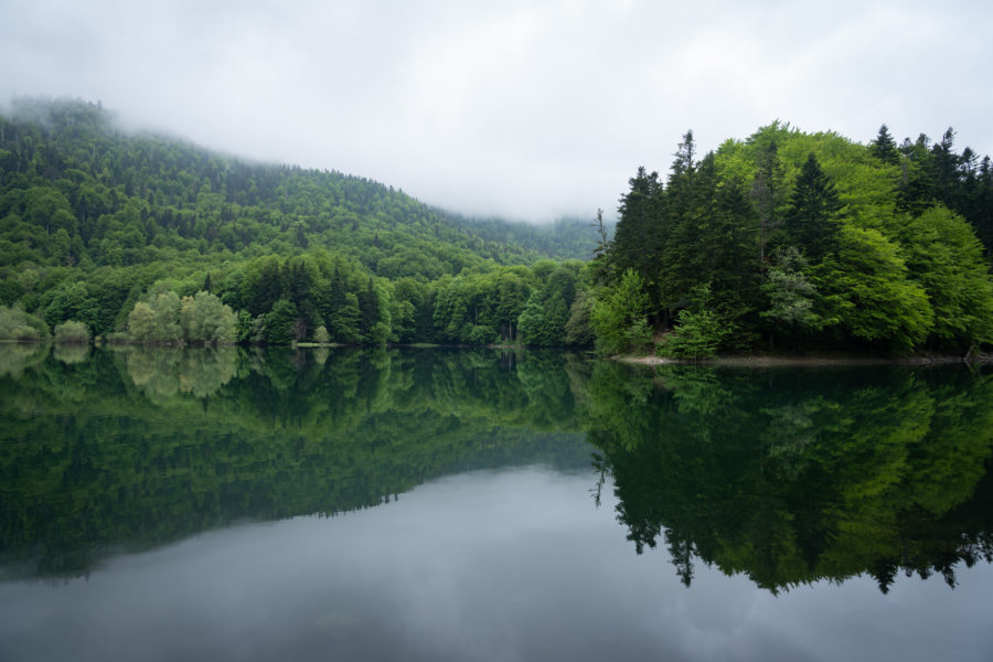 Lac de Biogradska Gora au Monténégro