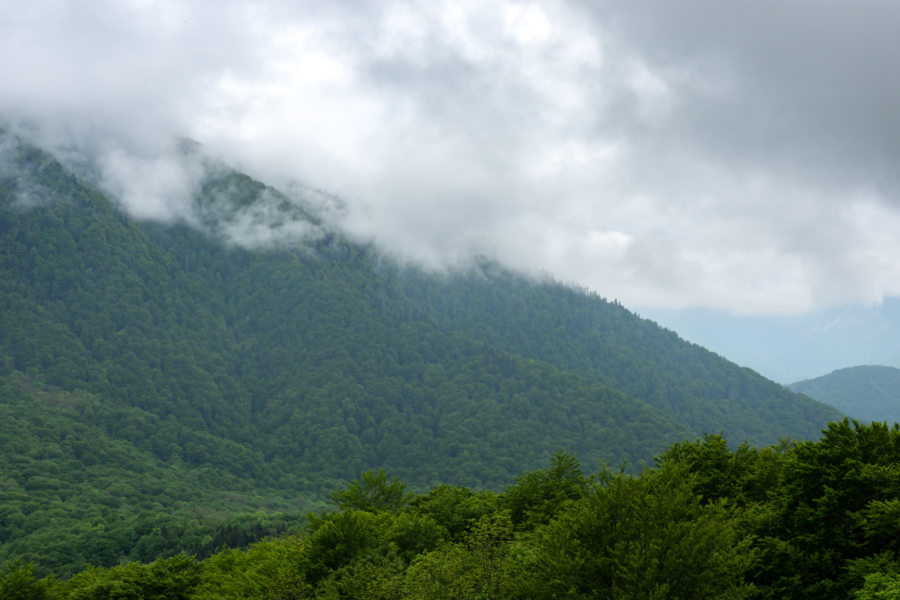 Montagnes dans les nuages à Biogradska Gora, près de Kolasin